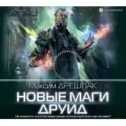 Постер книги Новые маги. Друид