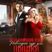 Постер книги Мой бывший босс. Новогоднее чудо для пышки