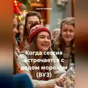 Постер книги Когда сессия встречается с дедом морозом (ВУЗ)