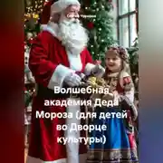 Постер книги Волшебная академия Деда Мороза (для детей во Дворце культуры)