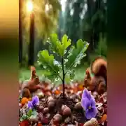 Постер книги Место под солнцем