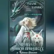 Постер книги Легенда о Лунной Принцессе и Черном драконе. Часть 1: Пробуждение