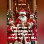 Постер книги Новогодние приключения в царстве Огненной лошади (детям в ДК)