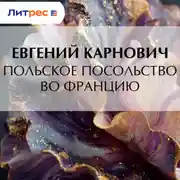 Постер книги Польское посольство во Францию
