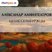 Постер книги Шлиссельбуржцы