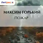 Постер книги Пожар