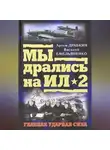 Василий Емельяненко - Ил-2 атакует. Огненное небо 1942-го