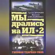 Постер книги Ил-2 атакует. Огненное небо 1942-го