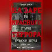 Постер книги На заре красного террора. ВЧК – Бутырки – Орловский централ