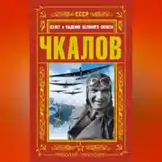 Постер книги Чкалов. Взлет и падение великого пилота