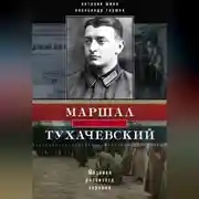 Постер книги Маршал Тухачевский. Мозаика разбитого зеркала