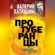 Постер книги Протуберанцы. Размышления и воспоминания. 2005 – 2013