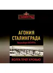 Эдельберт Холль - Агония Сталинграда. Волга течет кровью