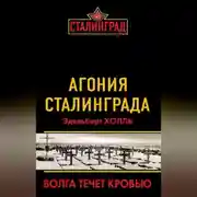 Постер книги Агония Сталинграда. Волга течет кровью