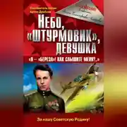 Постер книги Небо, «штурмовик», девушка. «Я – „Береза!“ Как слышите меня?..