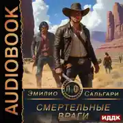 Постер книги Смертельные враги