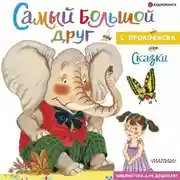Постер книги Самый большой друг
