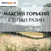 Постер книги Степан Разин