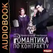Постер книги Некромантика по контракту