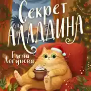 Постер книги Секрет Аладдина