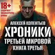 Постер книги Агрессия: Хроники Третьей мировой войны. Самый тёмный час