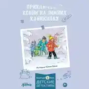 Постер книги Приключения на зимних каникулах