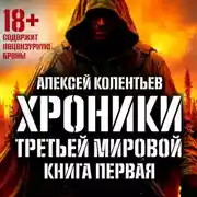 Постер книги Агрессия: Хроники Третьей мировой войны. В мертвой петле