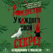Постер книги В Рождество у каждого свой секрет