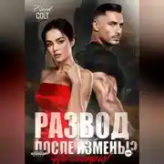 Постер книги Развод, после измены? Не сегодня!