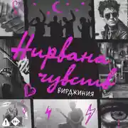 Постер книги Нирвана чувств