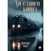 Постер книги До самого конца