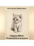 Константин Комиссаров - Саша и Митя. Психологи в астрале
