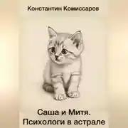 Постер книги Саша и Митя. Психологи в астрале