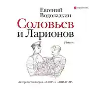 Постер книги Соловьев и Ларионов