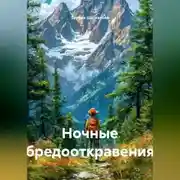 Постер книги Ночные бредооткравения
