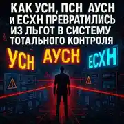 Постер книги Как УСН, ПСН, АУСН и ЕСХН превратились из льгот в систему тотального контроля