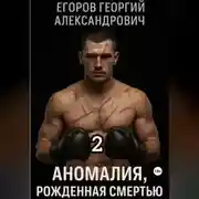 Постер книги Аномалия, рожденная смертью 2