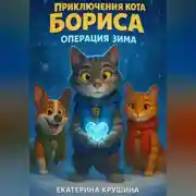 Постер книги Приключения кота Бориса: Операция «Зима»