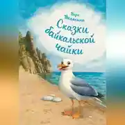 Постер книги Сказки байкальской чайки