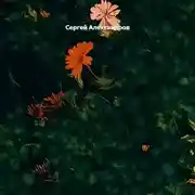 Постер книги Папа, ты гордишься мной?