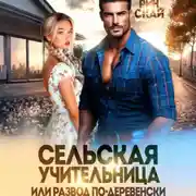 Постер книги Сельская учительница или развод по-деревенски