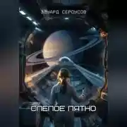 Постер книги Слепое пятно