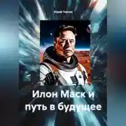 Постер книги Илон Маск и путь в будущее