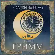 Постер книги Сказки на ночь. Братья Гримм