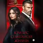 Постер книги Кризис семейной жизни