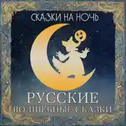 Постер книги Сказки на ночь. Русские волшебные сказки