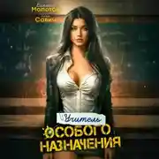 Постер книги Учитель Особого Назначения. Том 2