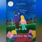 Постер книги Полярная Звезда