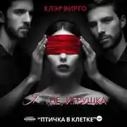 Постер книги Я (не) игрушка