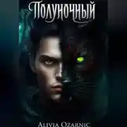 Постер книги Полуночный